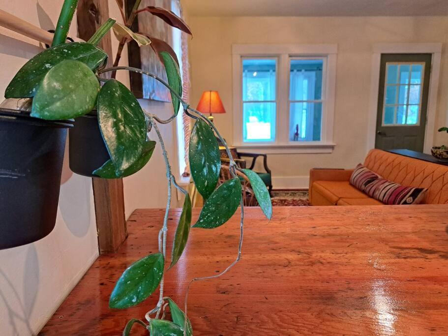 Blue Dog Accommodations Eastend Buitenkant foto